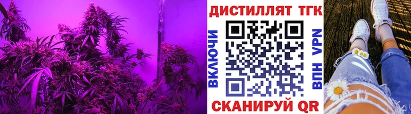 Дистиллят ТГК гашишное масло Купить Кинешма
